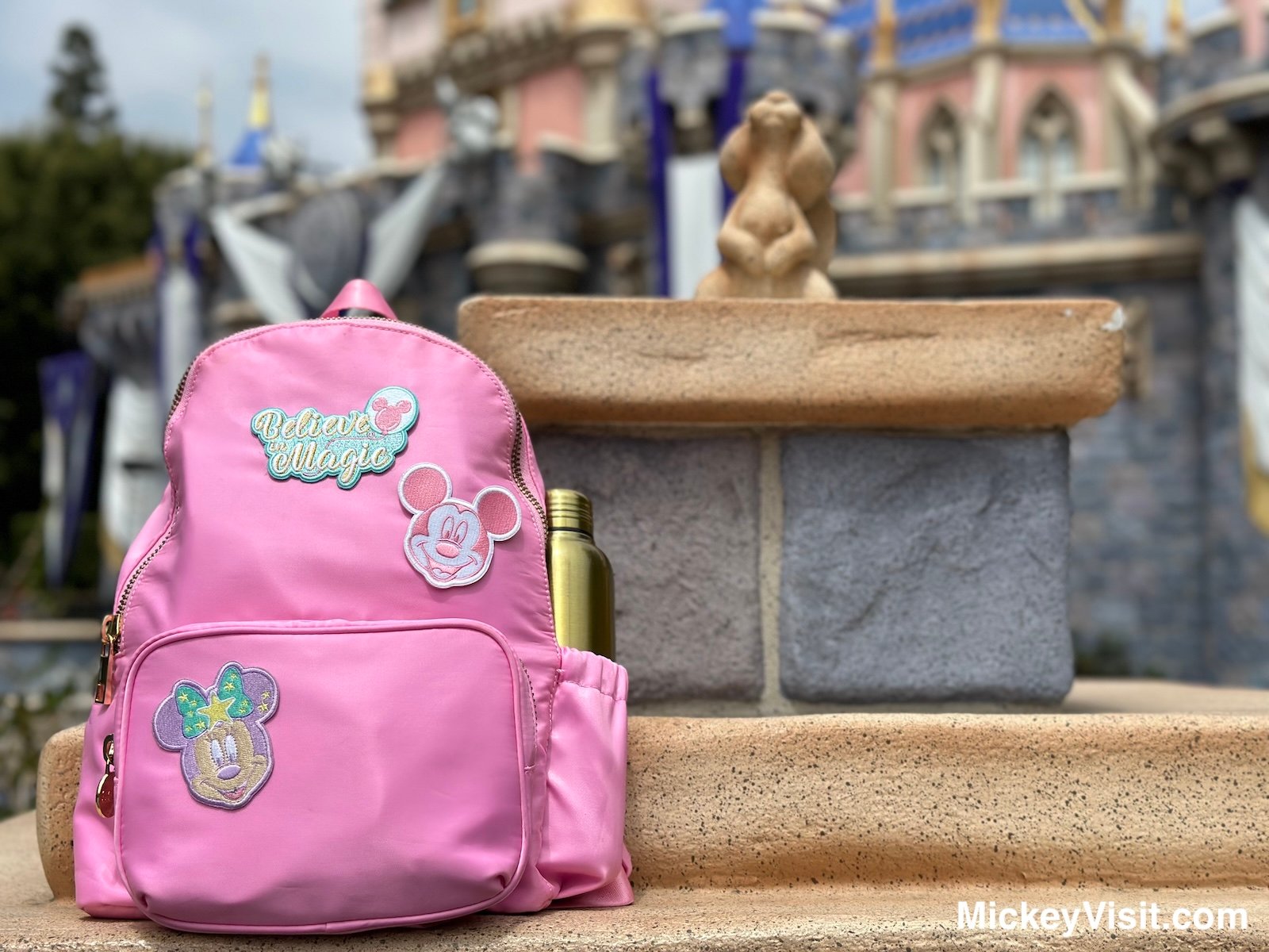 Disneyland park bag in front of castle