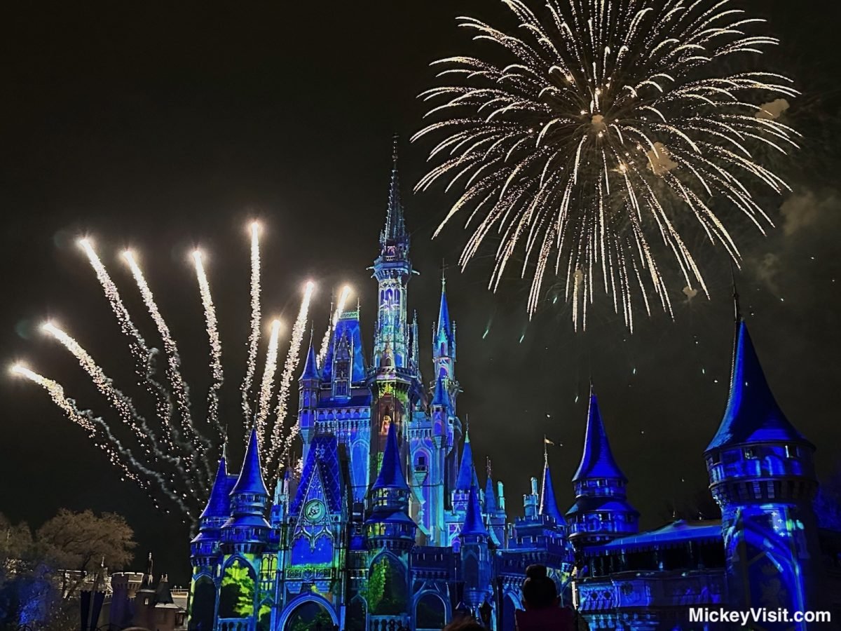 disney world fireworks