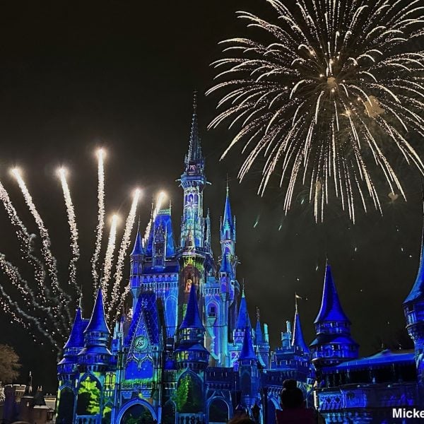 disney world fireworks