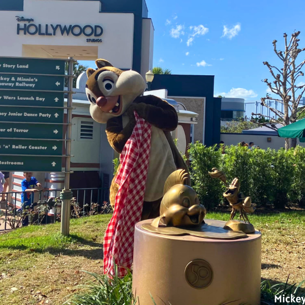 Hollywood Studios Dale