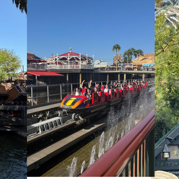 Disneyland rides