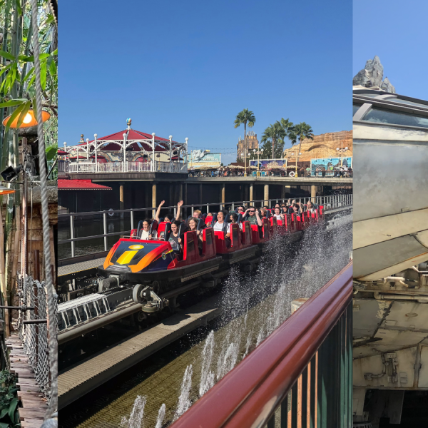 Disneyland and DCA rides