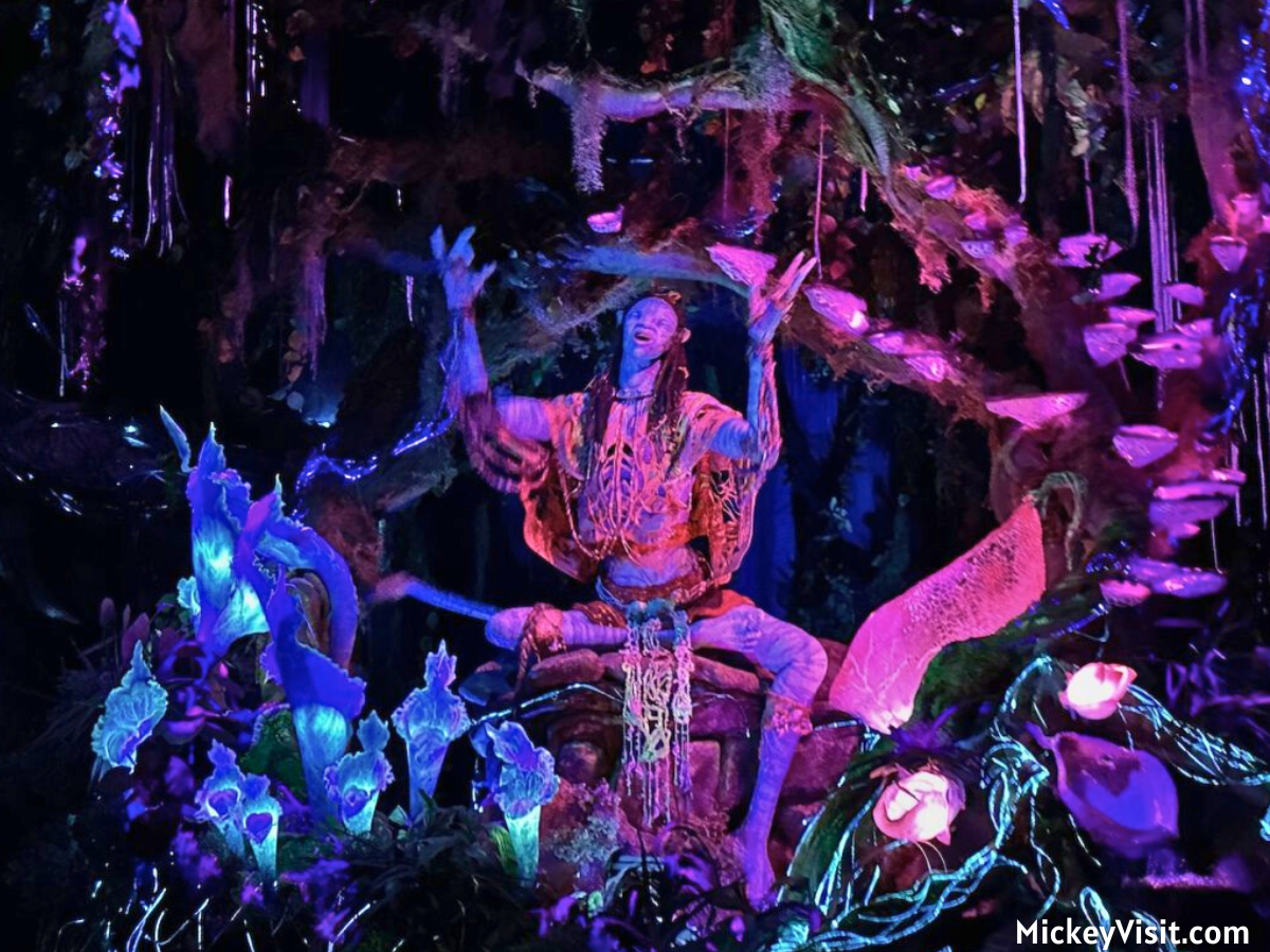 Na'vi River Journey shaman