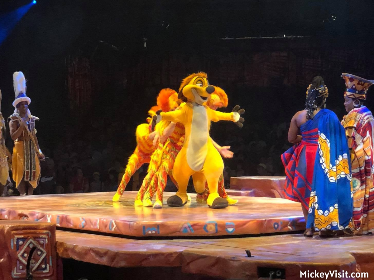 Timon Festival of the Lion King