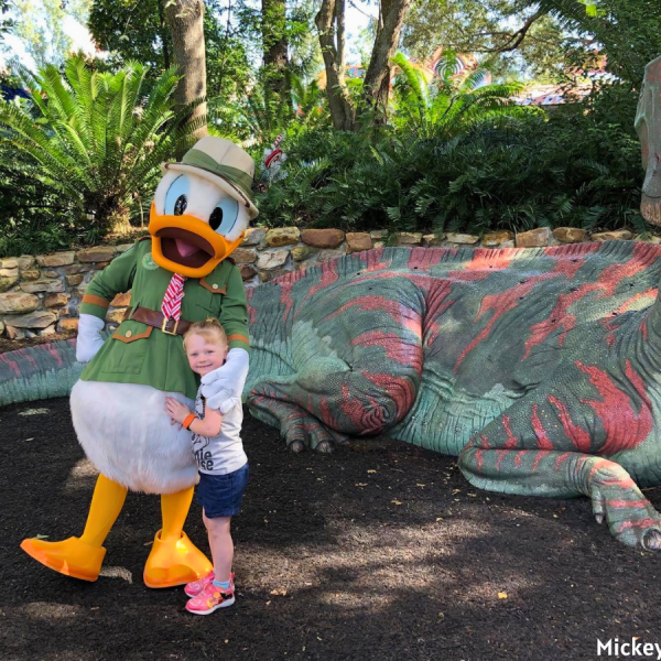 Donald Duck meet and greet