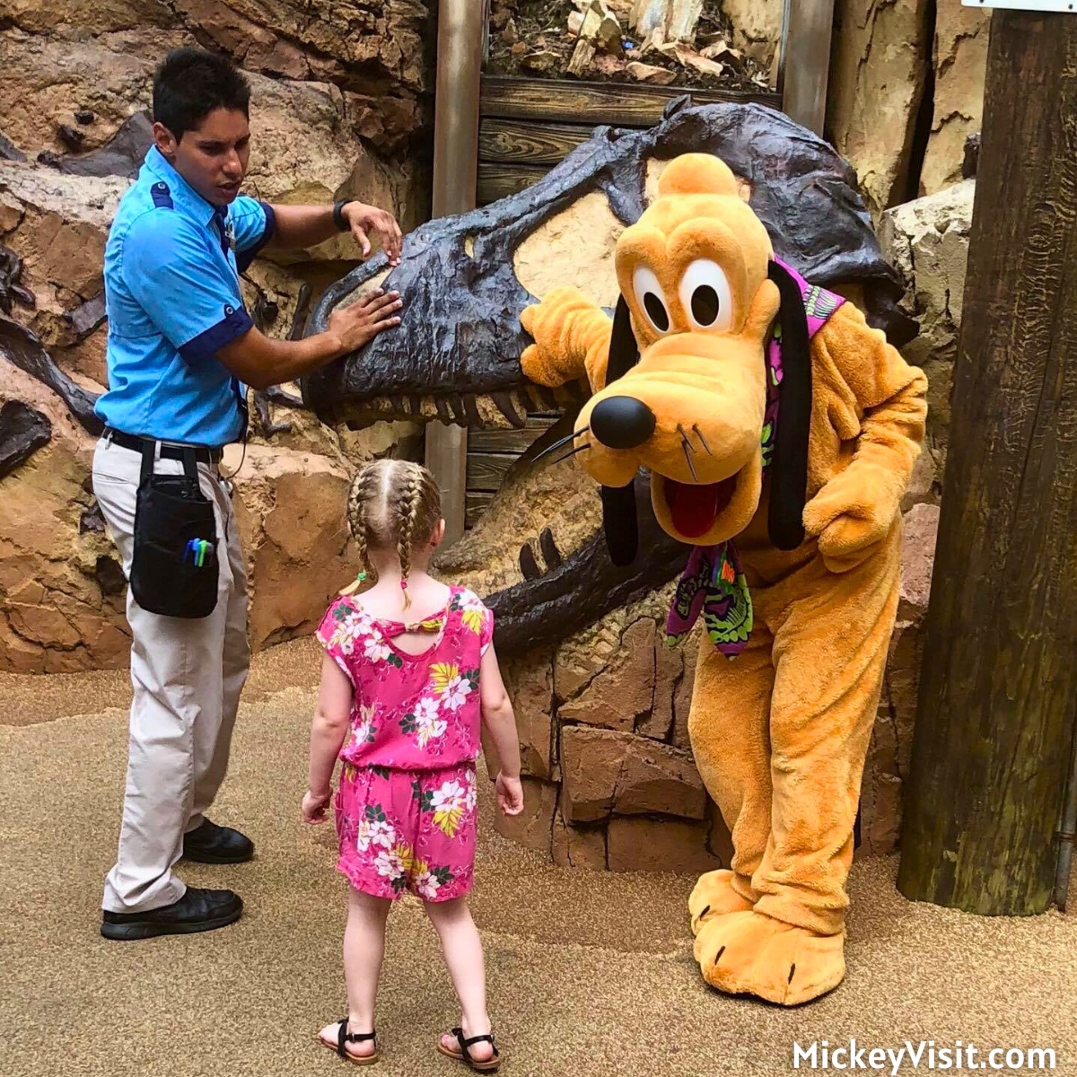 Pluto The Boneyard