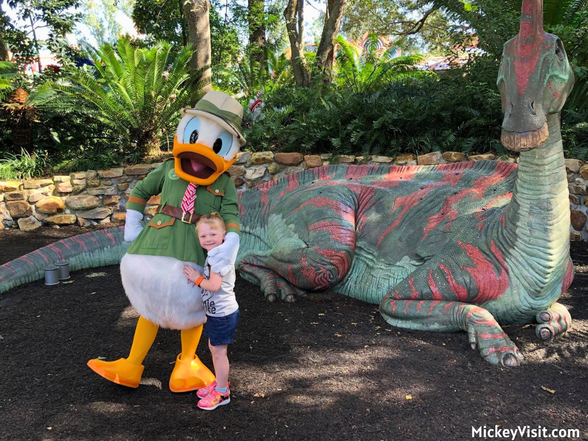 Donald Duck meet and greet