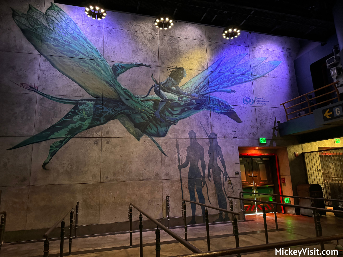 Avatar Flight of Passage queue