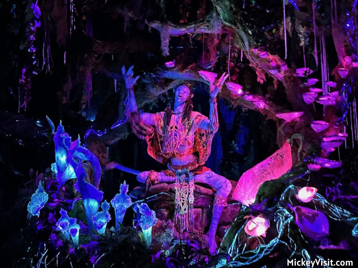 Na'vi River Journey shaman