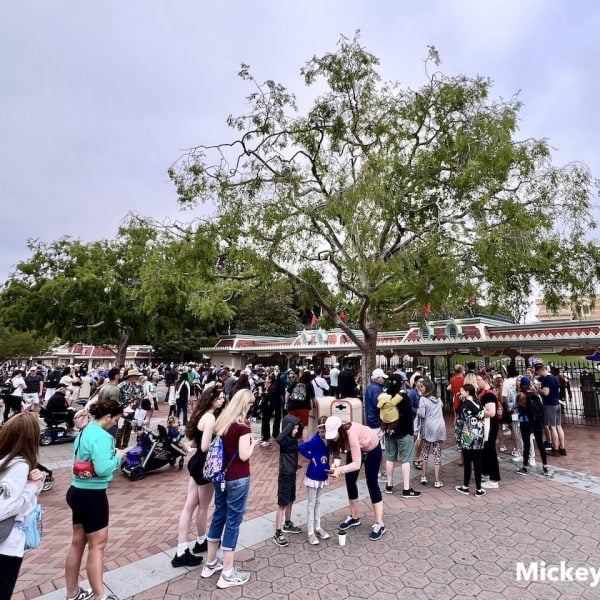 disneyland theme park entrance ticket line