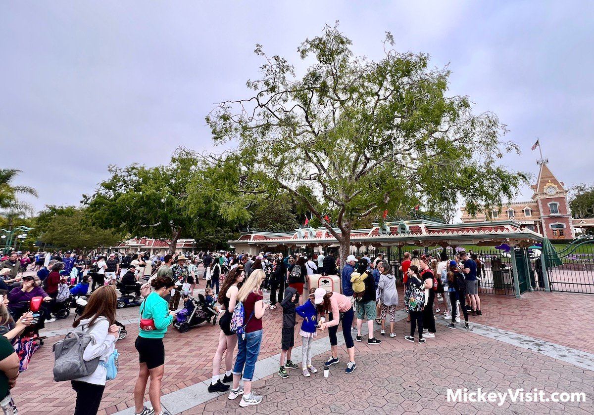 disneyland theme park entrance ticket line