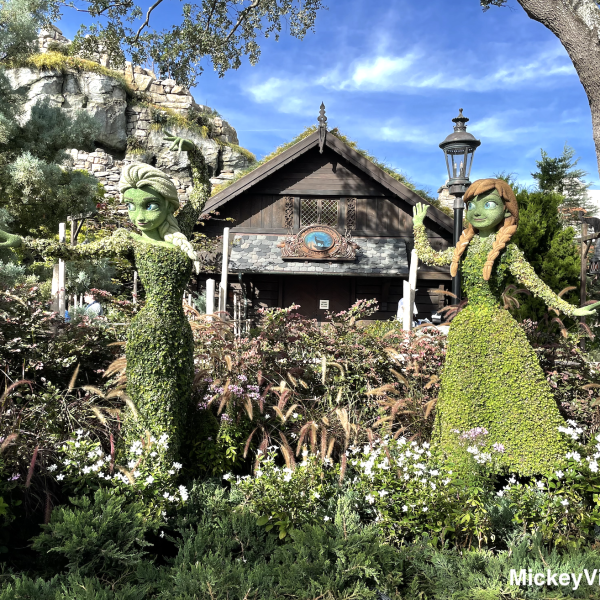 Flower and Garden Festival