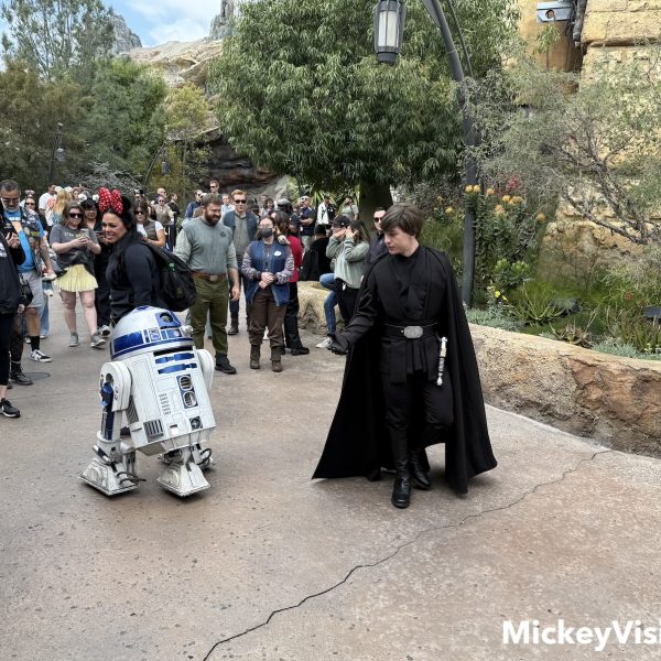 Luke and R2-D2 in Galaxy's Edge