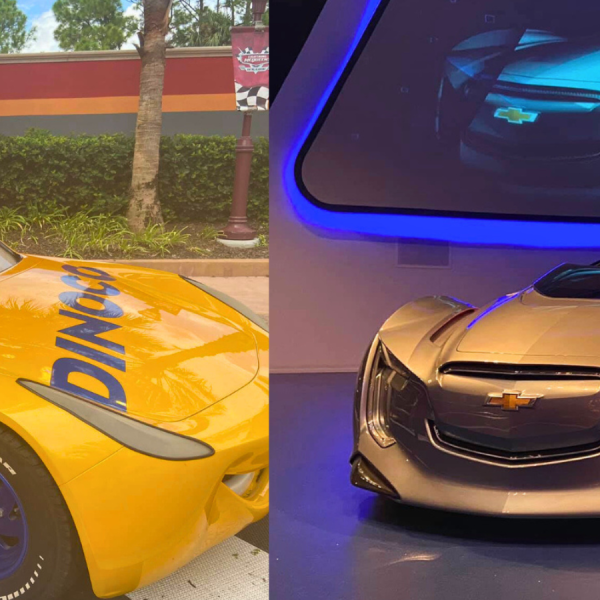 cars at Disney World