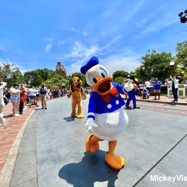 Donald Duck