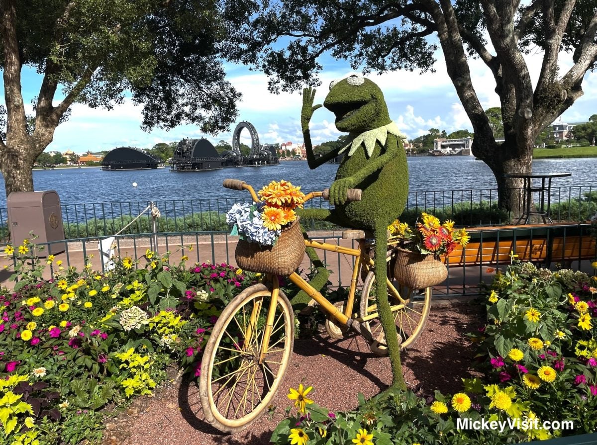 Kermit the frog