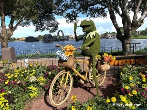 Kermit the frog