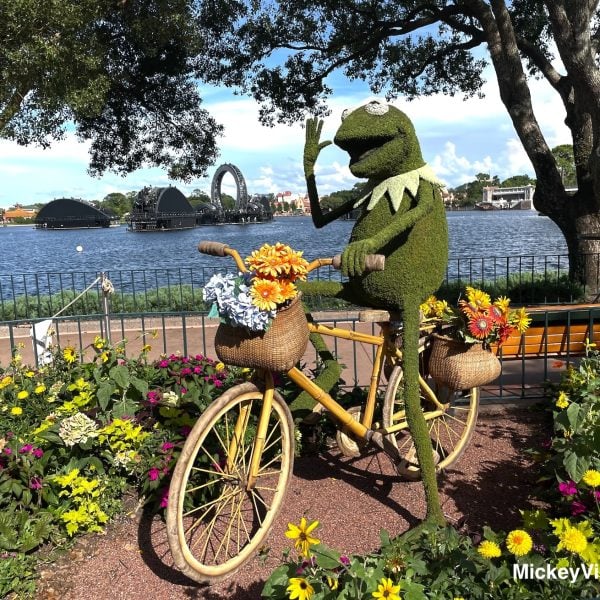Kermit the frog