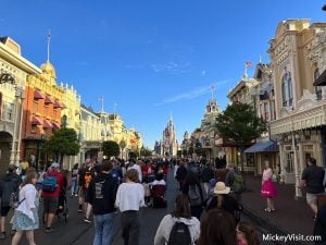 magic kingdom crowds entrance