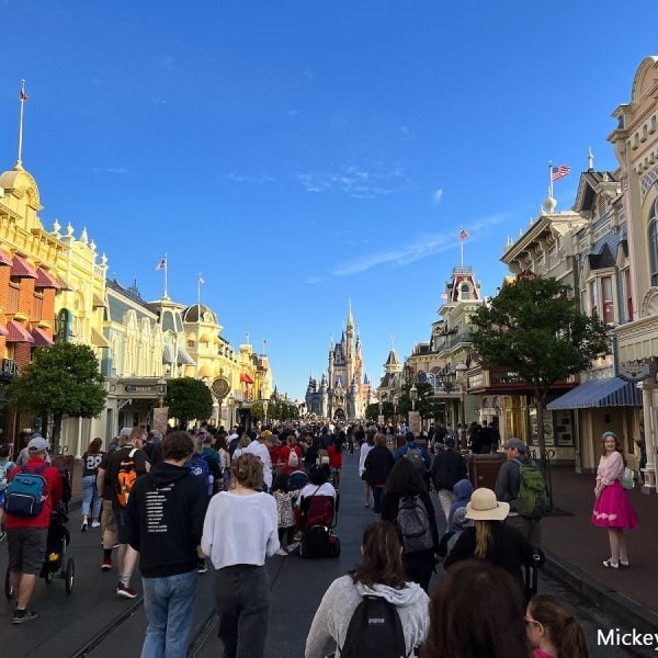 magic kingdom crowds entrance