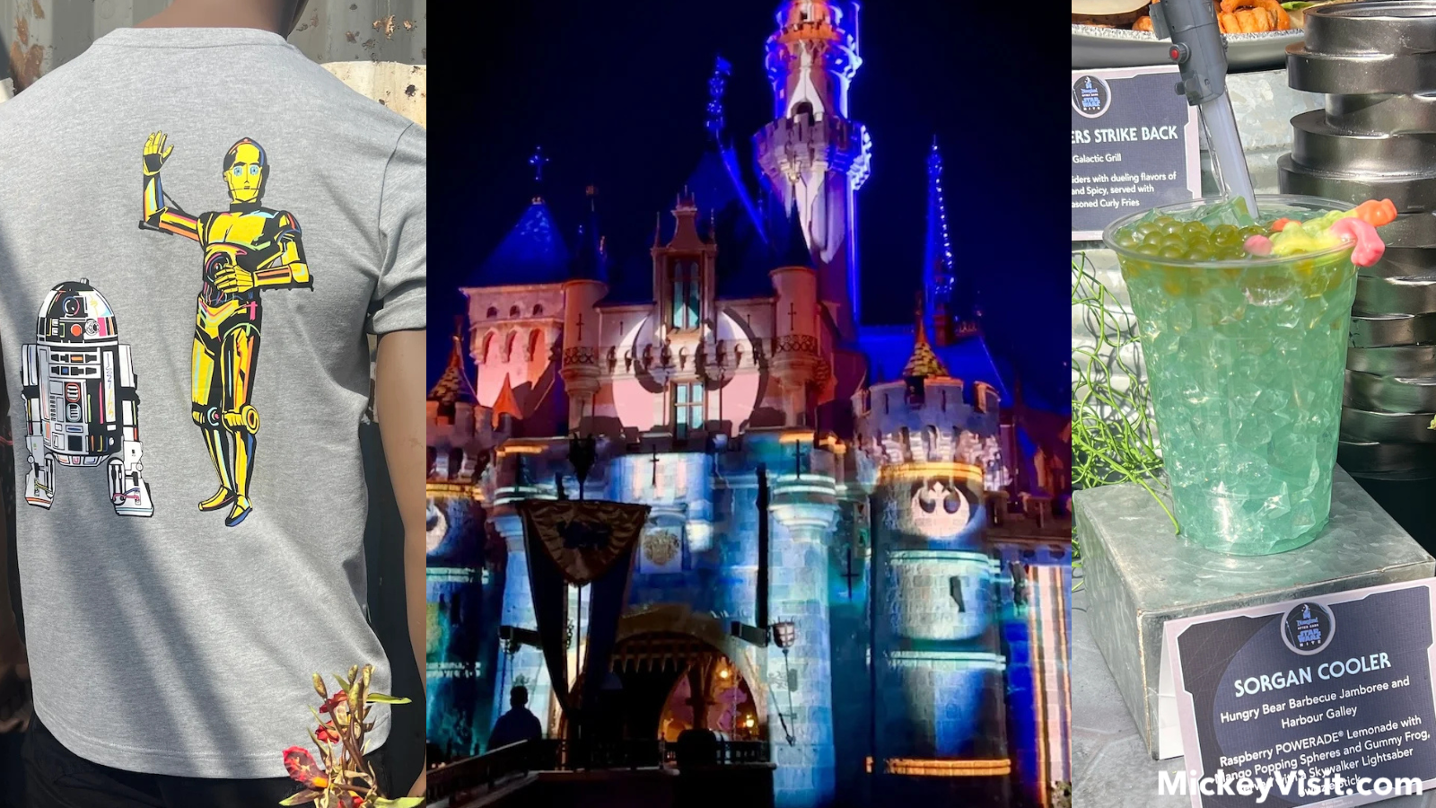 disney-pirate-pass-blockout-dates-price-benefits-mickey-visit