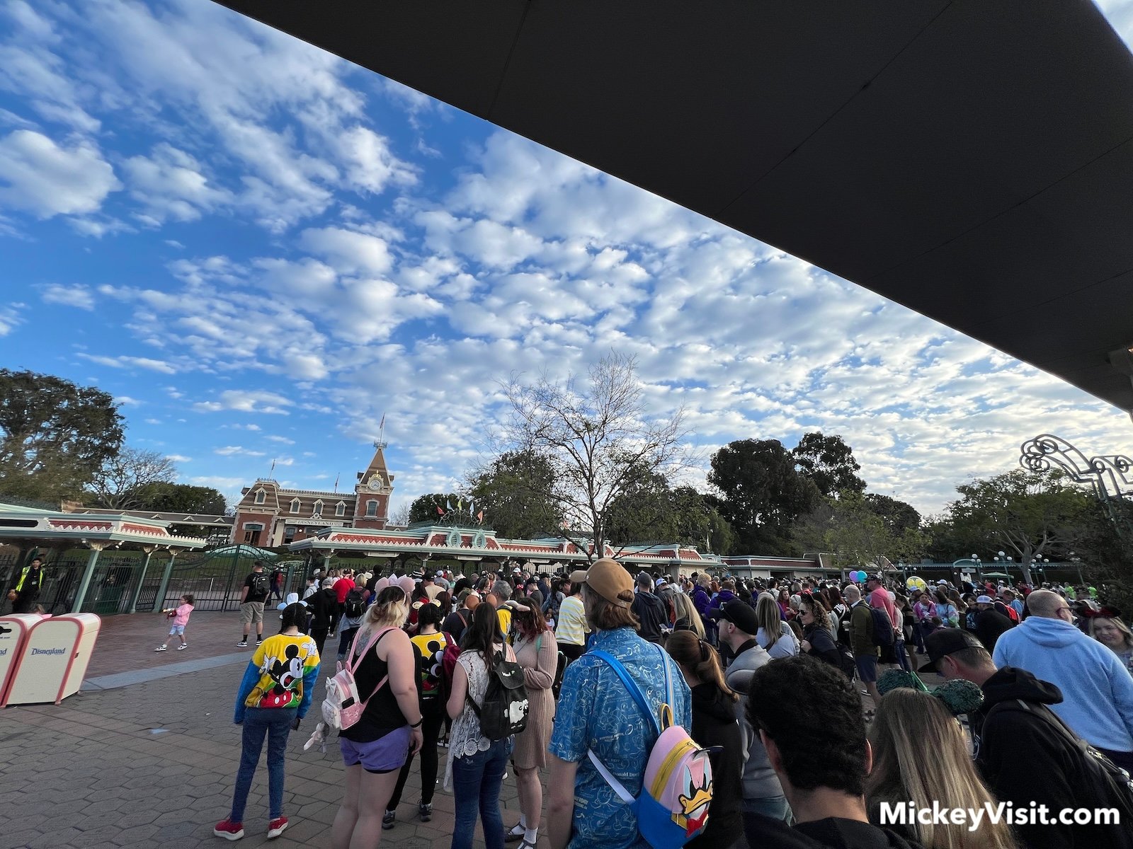 Disneyland entrance line
