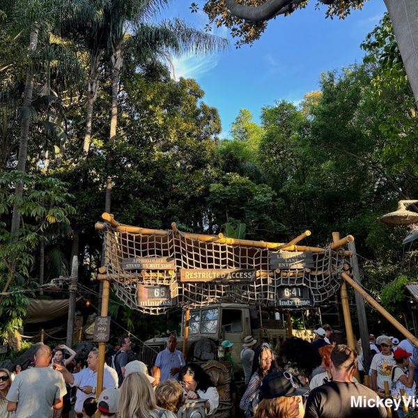 Disneyland Indiana Jones Adventure Lightning Lane entrance