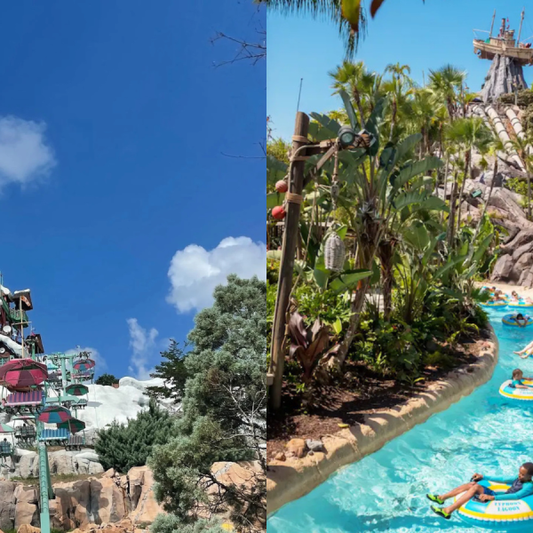 Disney World water park