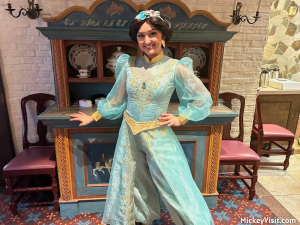 disney princess at walt disney world