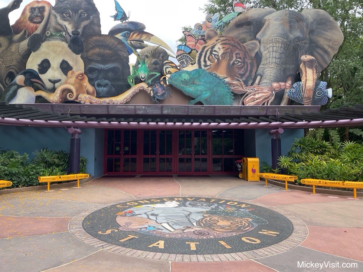 Rafiki’s Planet Watch