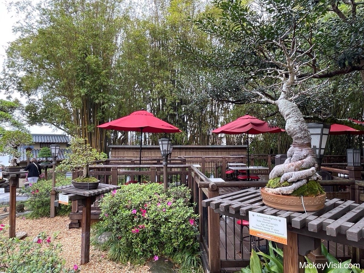 Katsura Grill Outdoor