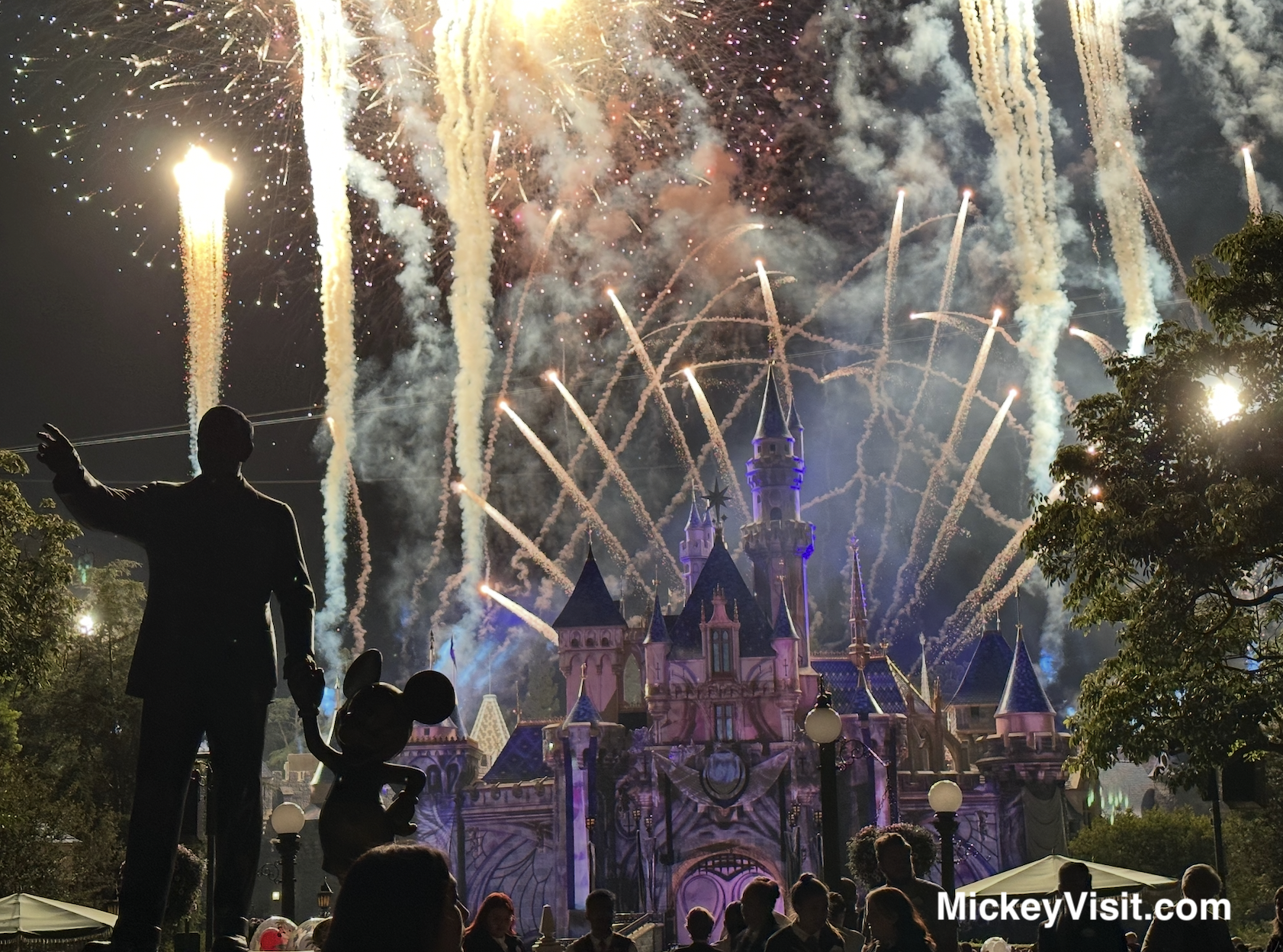 Disneyland castle fireworks view