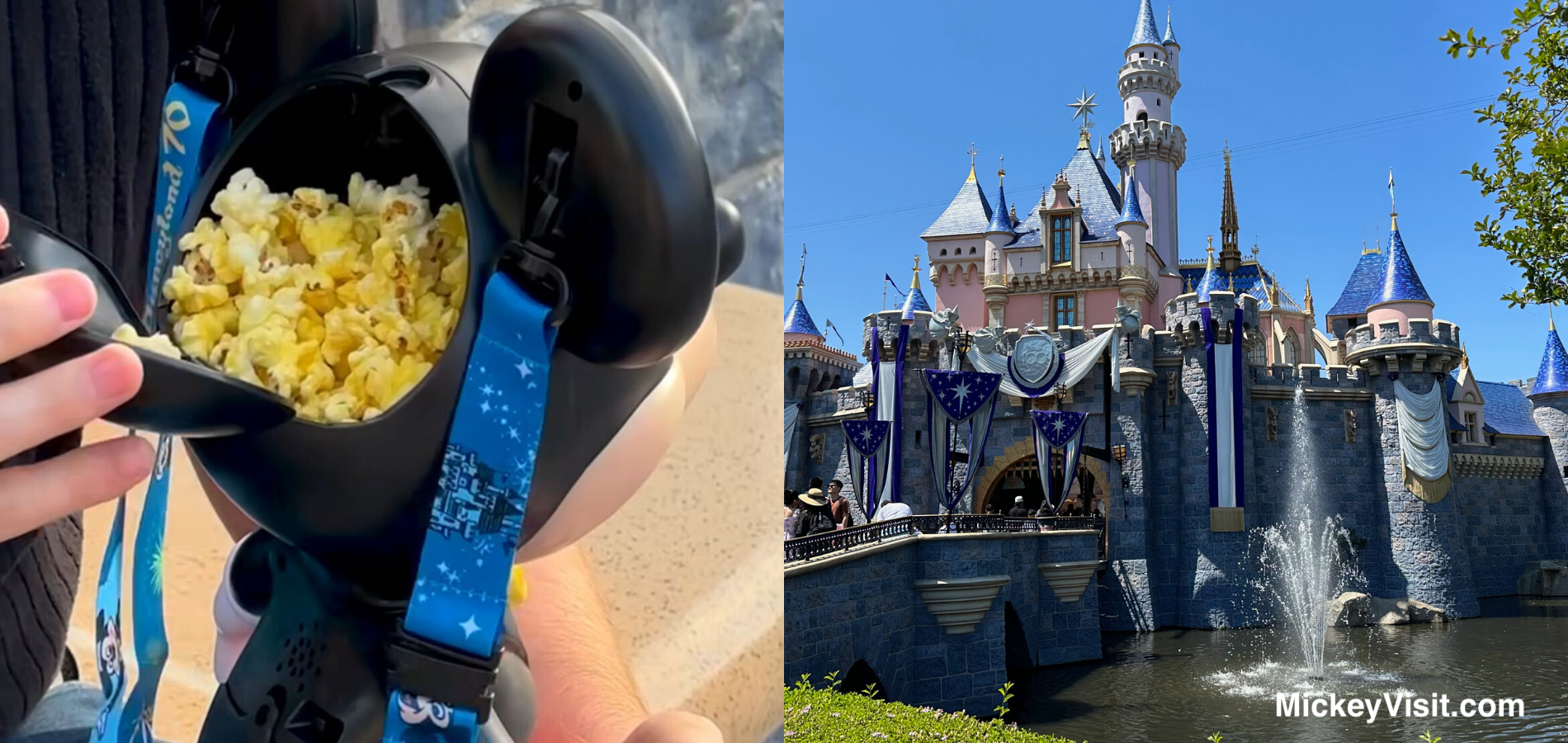 Disneyland popcorn bucket and castle
