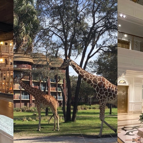 disney world resorts
