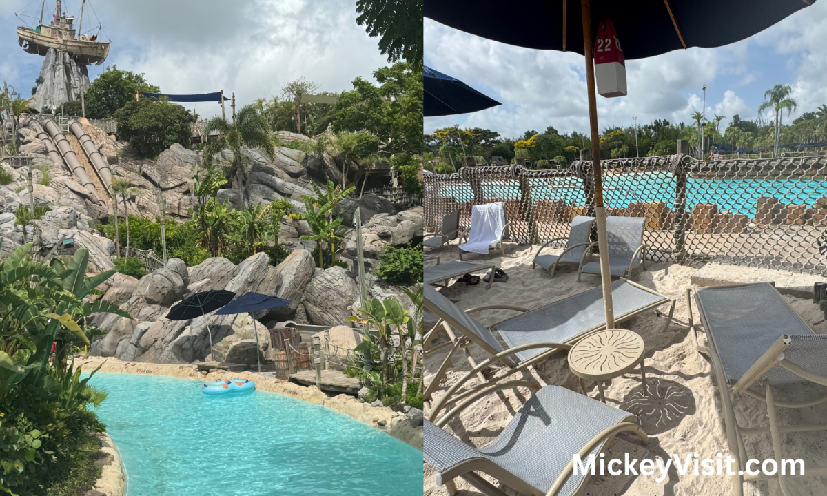 Disney World umbrella