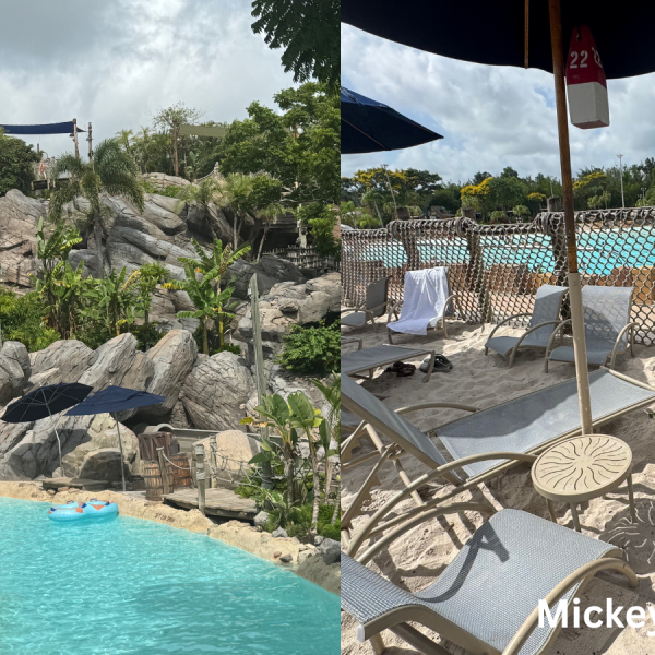 Disney World umbrella