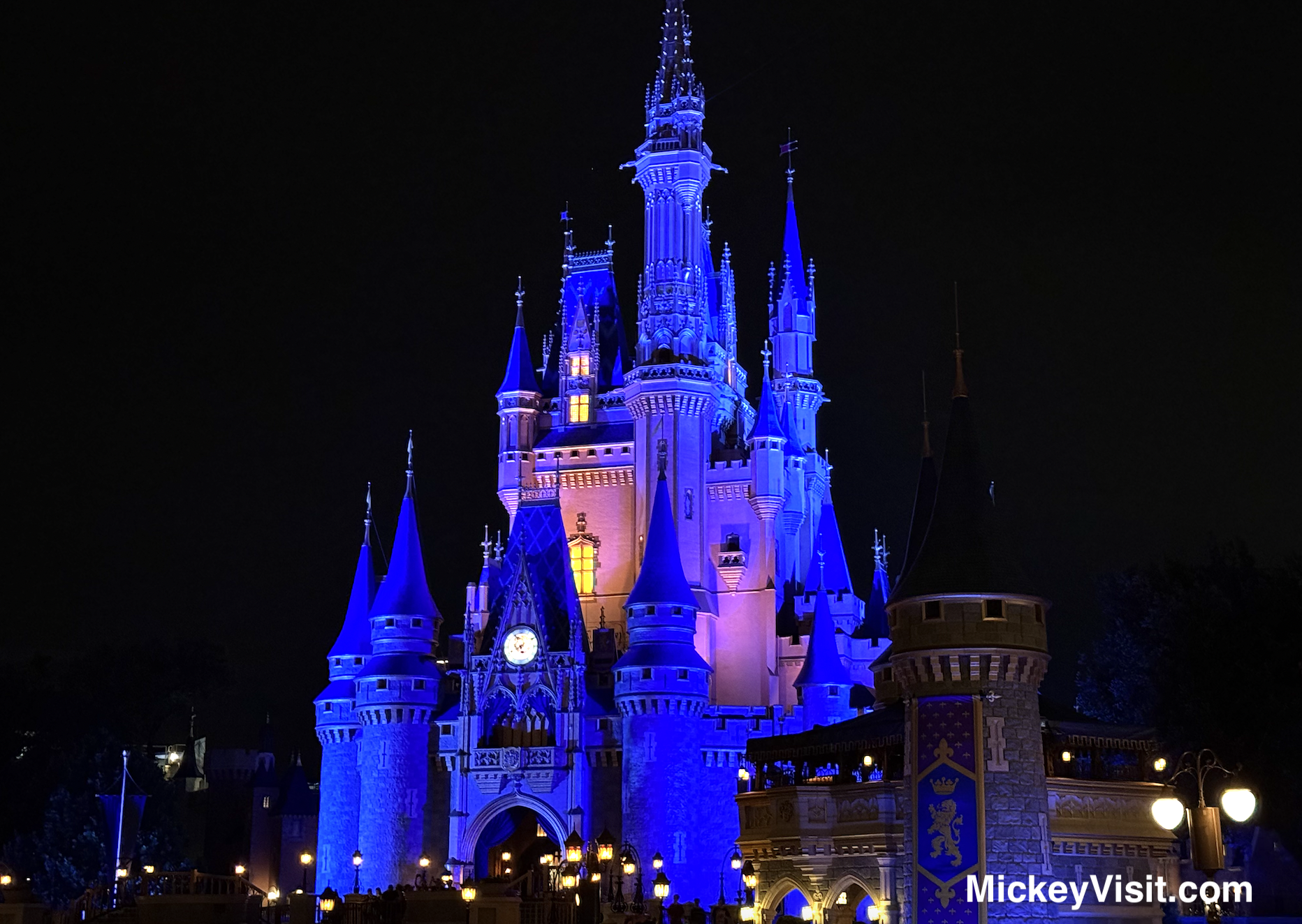 Magic Kingdom night