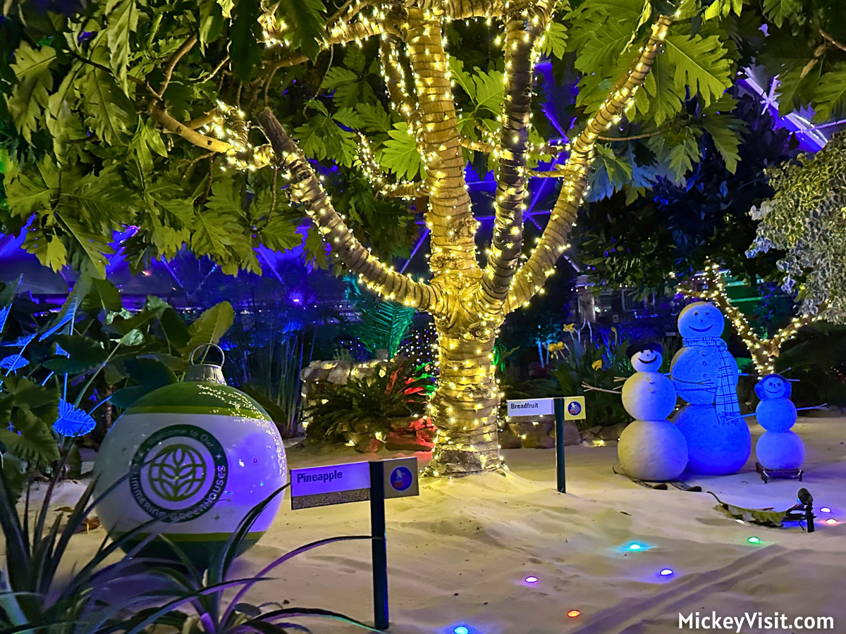Living With the Land - Glimmering Greenhouses