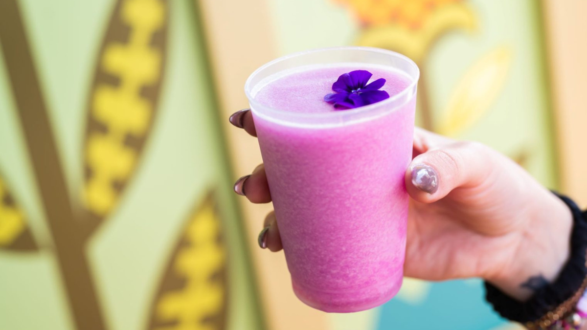 Walt Disney World Violet Lemonade