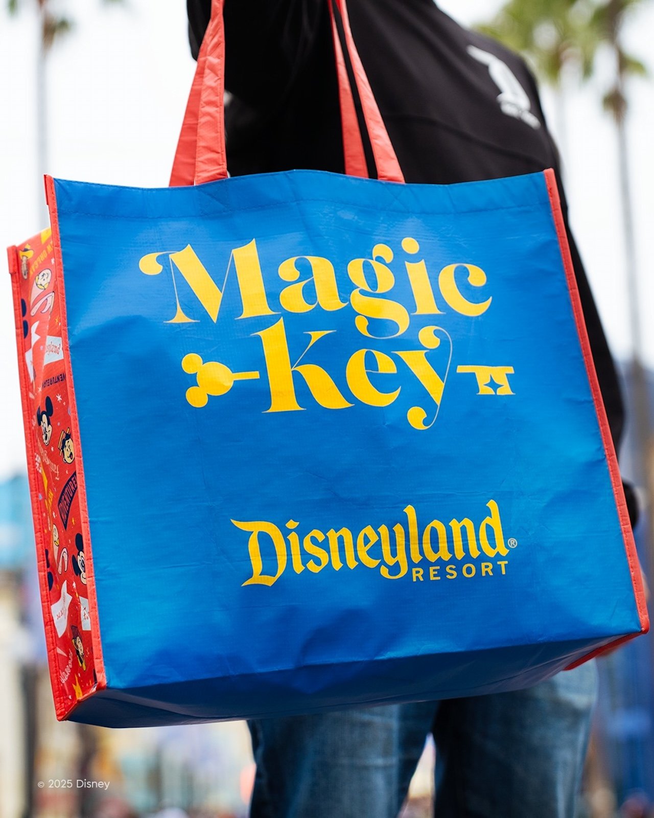 Magic Key tote bag Disneyland 70th anniversary