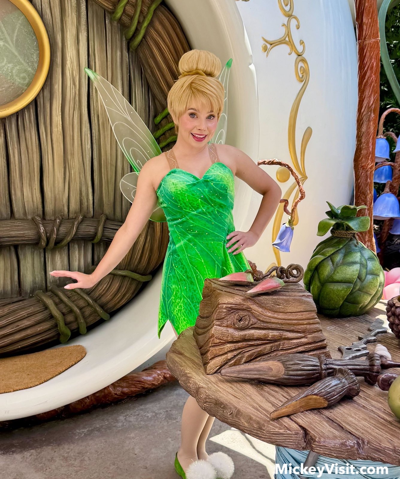 Tinker Bell Pixie Hollow meet and greet