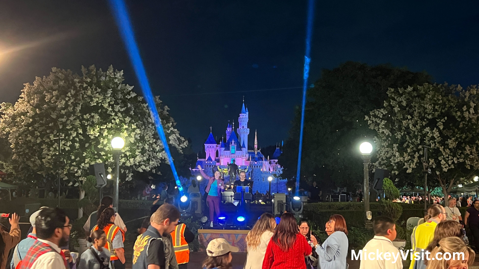Sleeping beauty castle at night