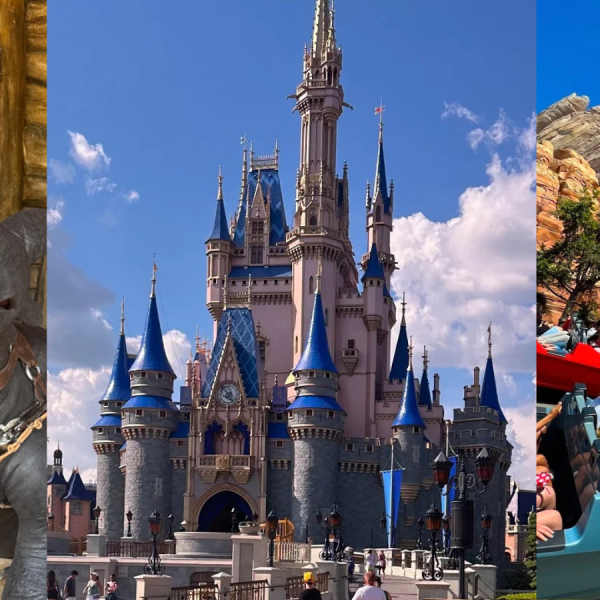 Disney ride and castle