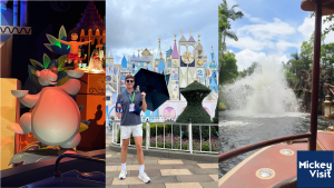hong kong disneyland us theme park