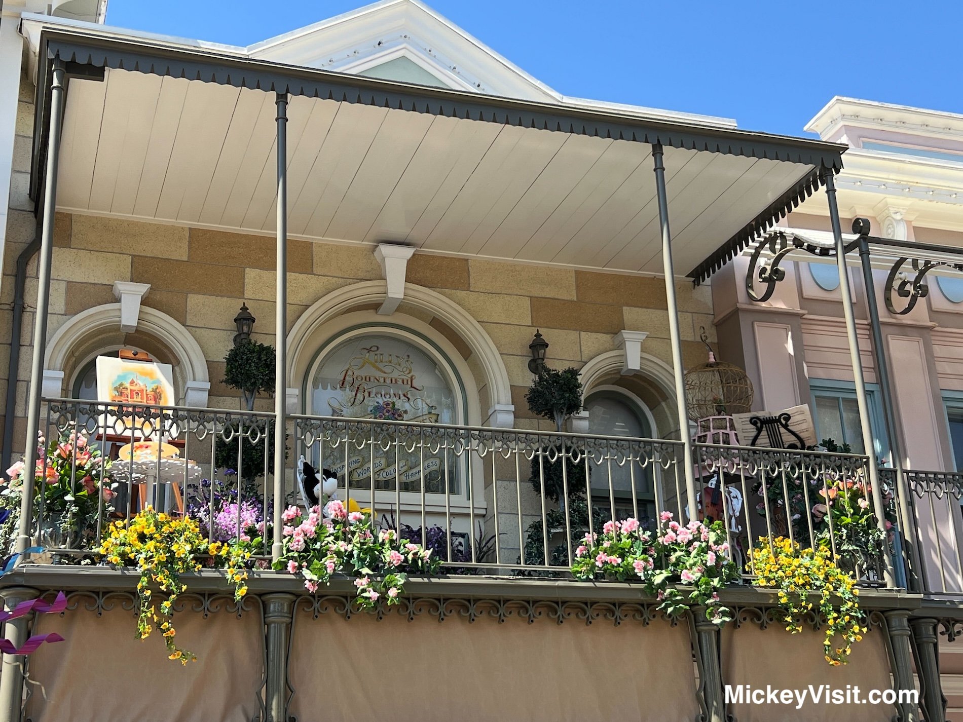 Disney windows