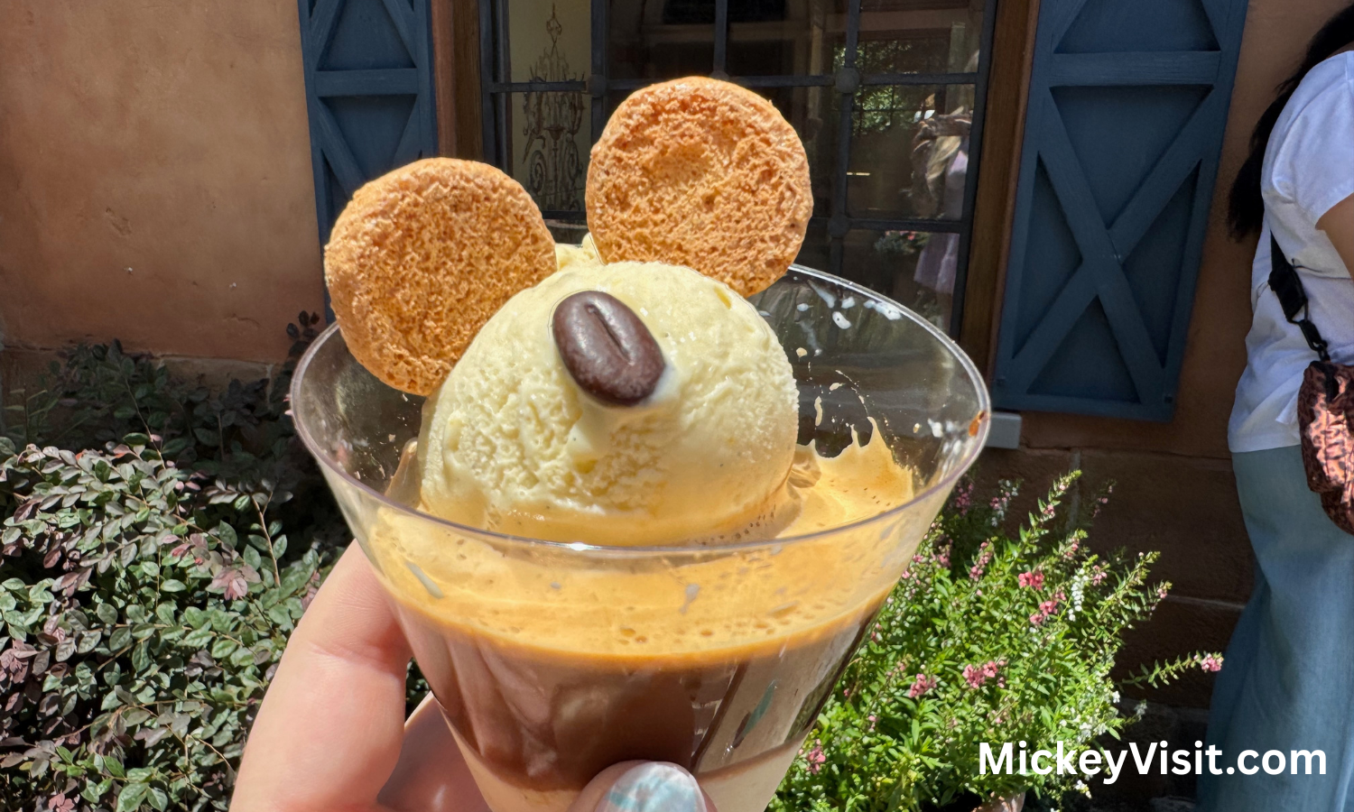Disney World snack