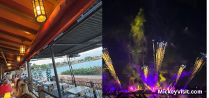 EPCOT firework view