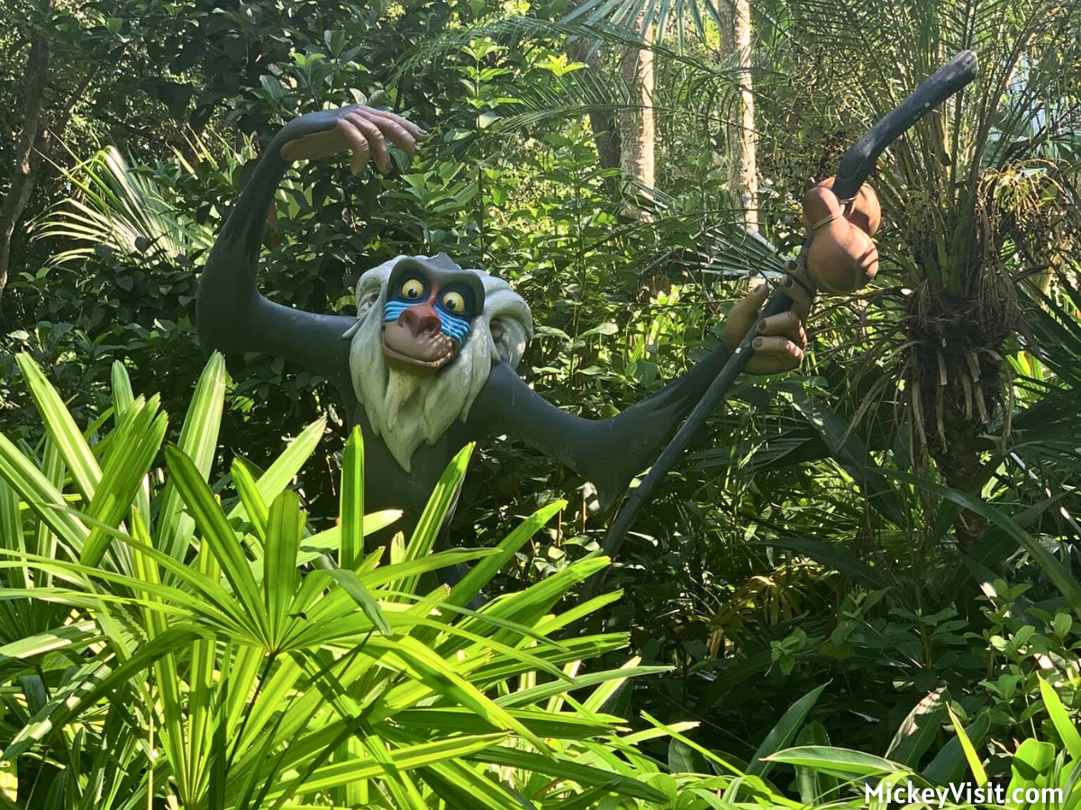 Rafiki's Planet Watch