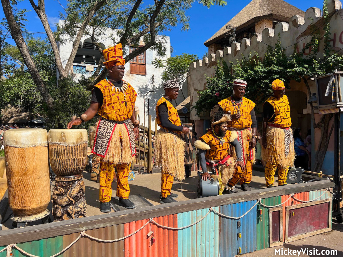Animal Kingdom drummers