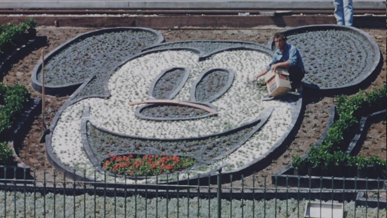 “Disneyland Handcrafted" documentary floral Mickey
